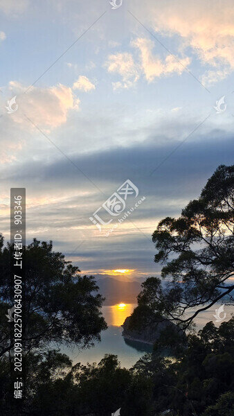 夕陽樹影
