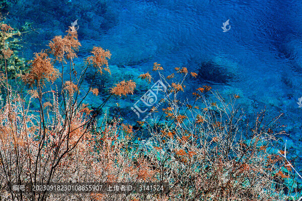 四川九寨溝