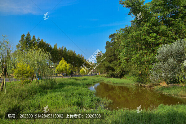 含光生態(tài)公園風(fēng)景