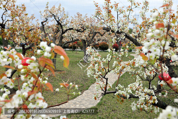 梨園春色