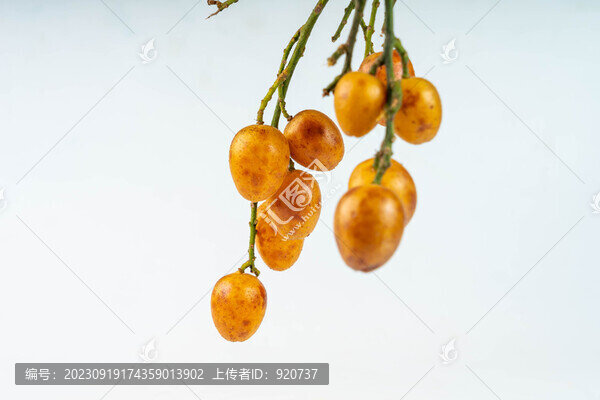黃皮果