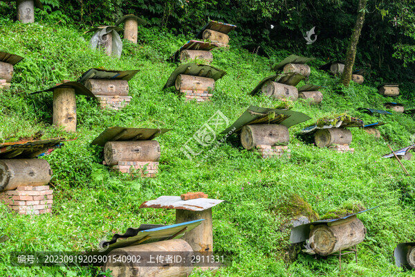 原生態(tài)大山土蜂蜜圓通蜂箱蜂糖