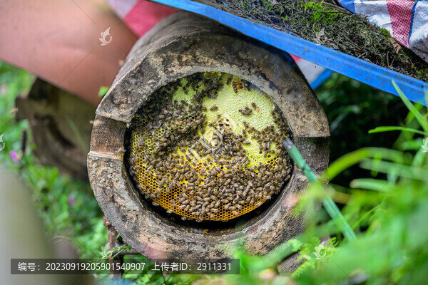 原生態(tài)大山土蜂蜜圓通蜂箱蜂糖