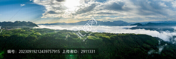 廣袤山川大地高山茶園云霧繚