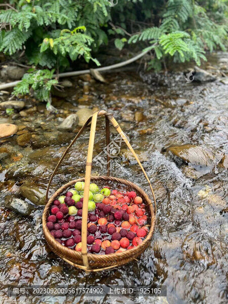 山泉水果