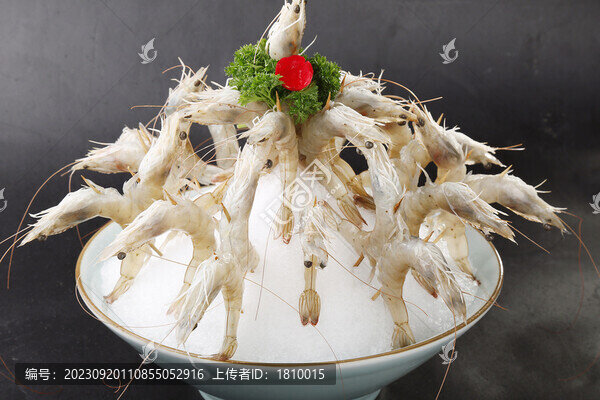 蝦