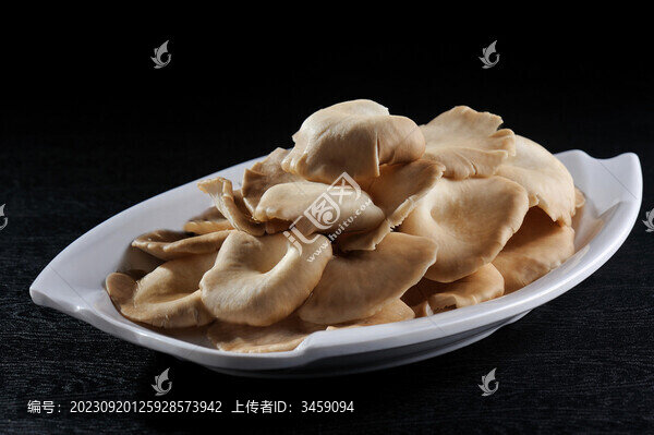 鮮菌菇