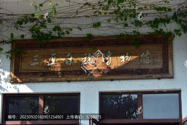 三亞自然博物館