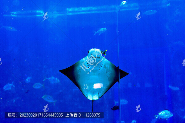 亞特蘭蒂斯海底世界