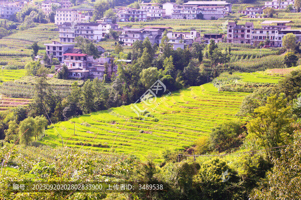 恩施大峽谷旁的田園風(fēng)光