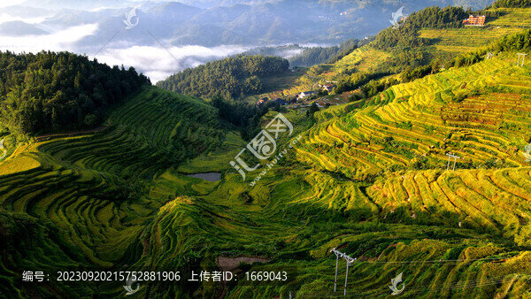 農(nóng)業(yè)世界灌溉紫鵲界秋景航拍