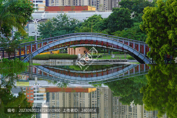 水倒影坪山中心公園拱橋