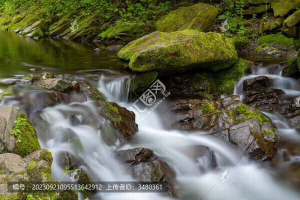 六盤山國家森林公園
