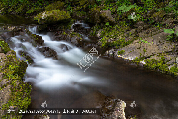 六盤山國家森林公園