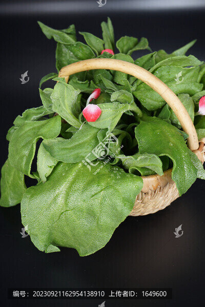 野菜