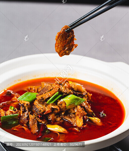 紅燜牛腩