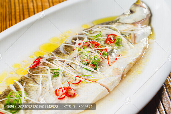 太湖大白魚