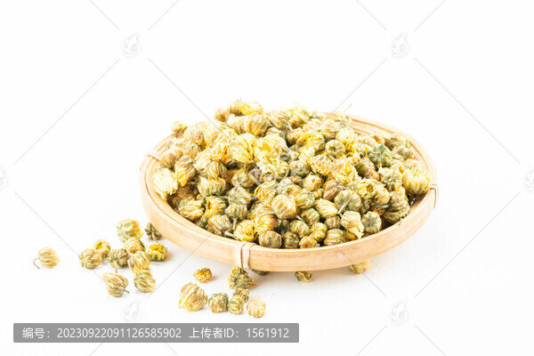 菊花茶
