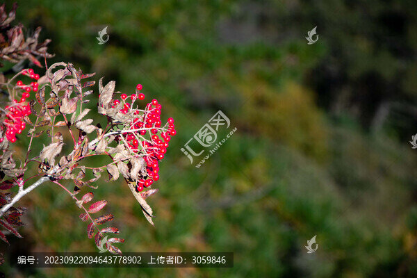 安徽黃山風(fēng)景區(qū)