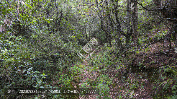 嵩明大尖山