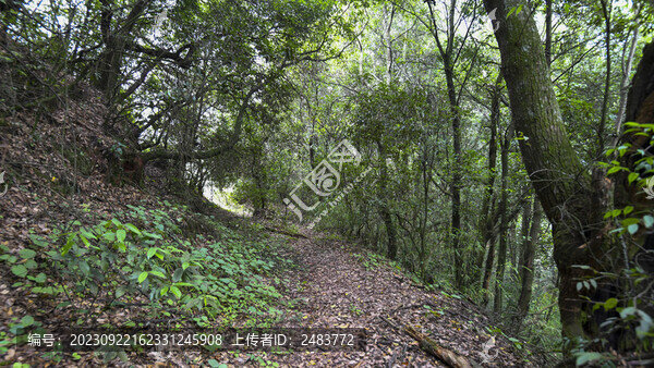 嵩明大尖山