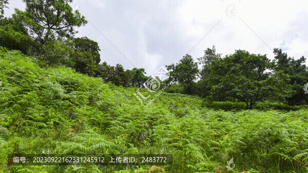 嵩明大尖山