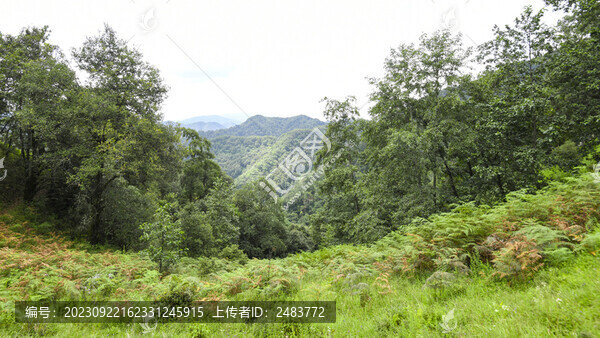 嵩明大尖山