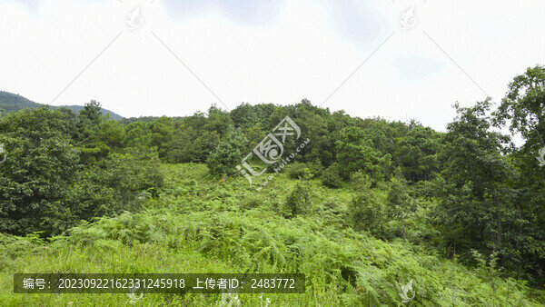 嵩明大尖山