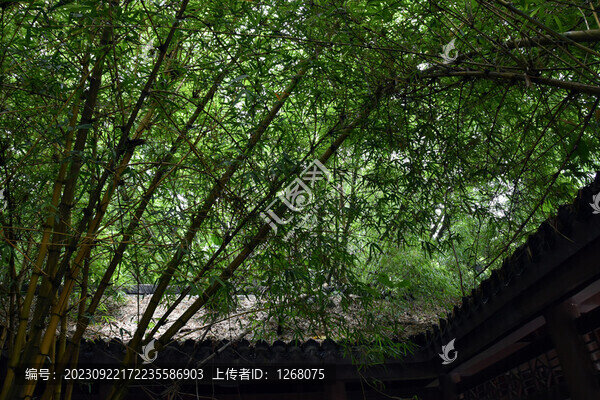 南寧美麗南方