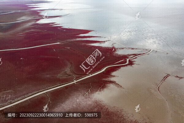 盤錦紅海灘