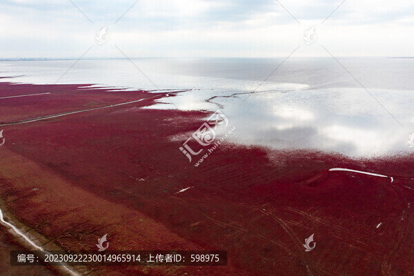盤錦紅海灘