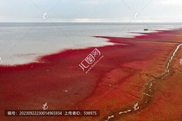 盤錦紅海灘
