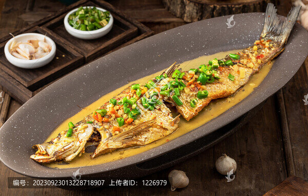 洞庭生態(tài)大翹魚