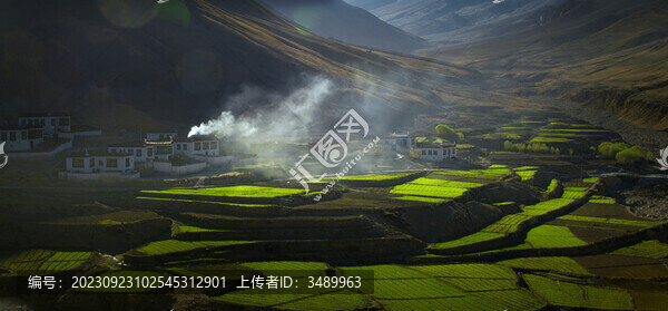 高原春色