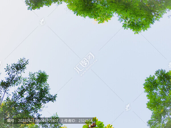 綠葉邊框