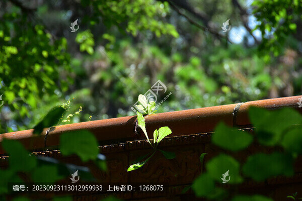 遼寧沈陽(yáng)北陵公園清昭陵