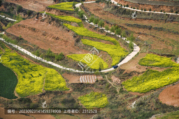 魅力山村