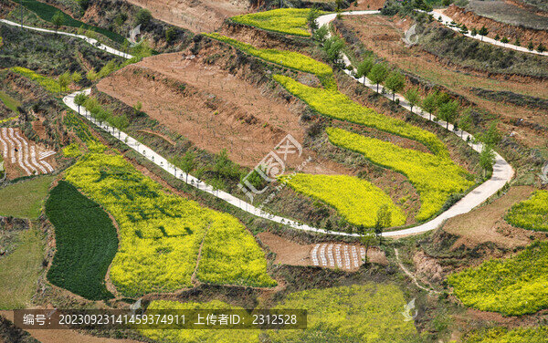 大福武山