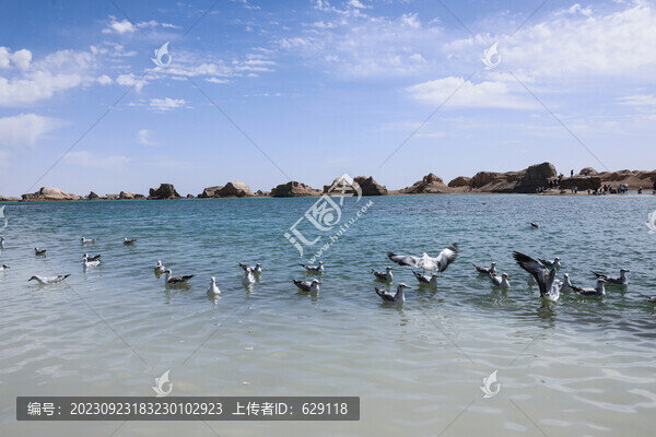 水上雅丹