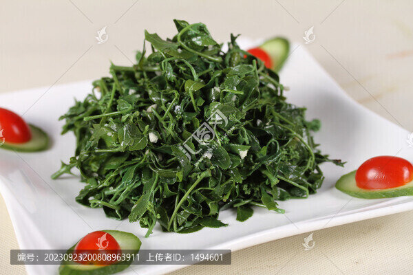 穿心蓮