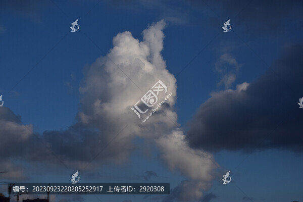 云