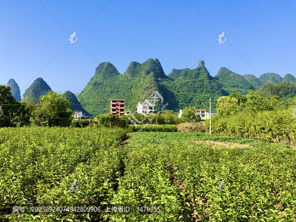桂林城鎮(zhèn)
