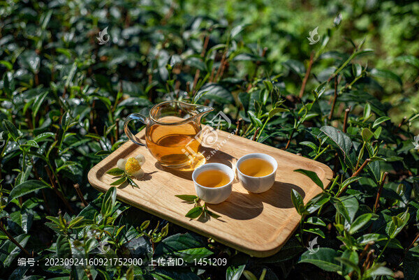 茶