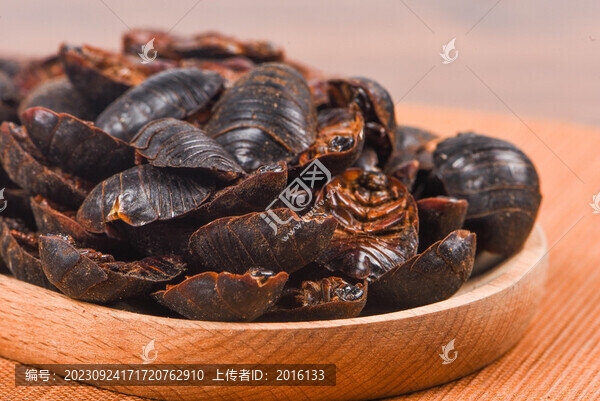 土元