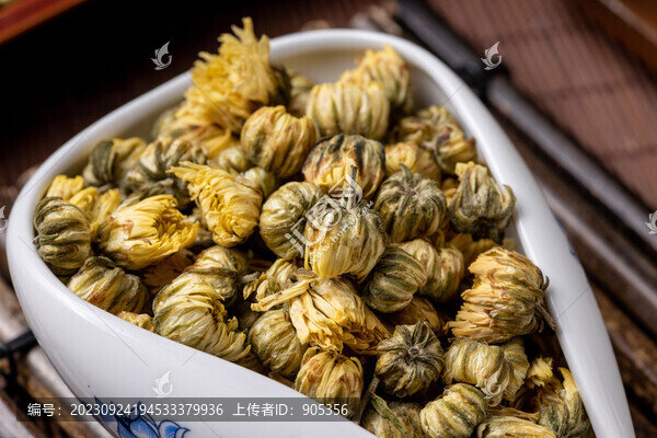 胎菊