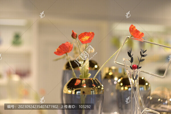 室內(nèi)裝飾花瓶
