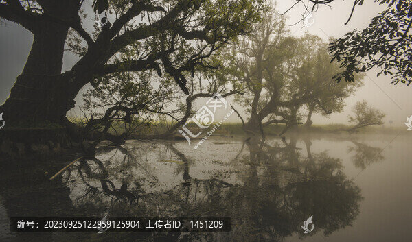 耿馬風光