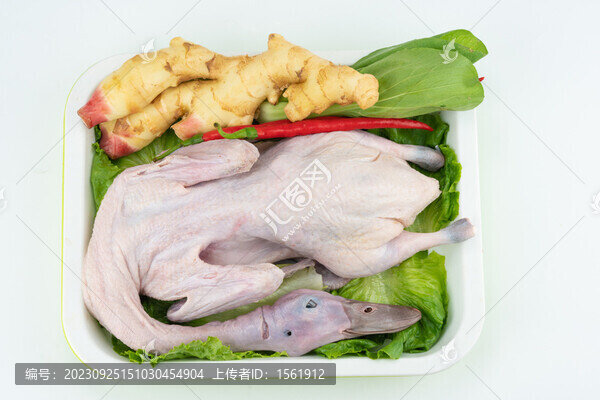 生鮮麻鴨
