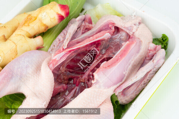 生鮮麻鴨鴨肉
