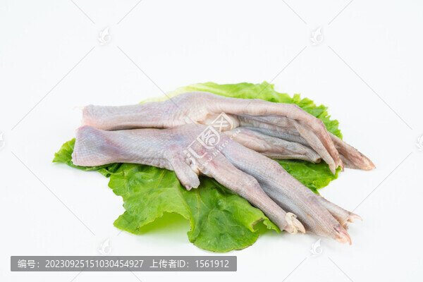 生鮮麻鴨鴨爪